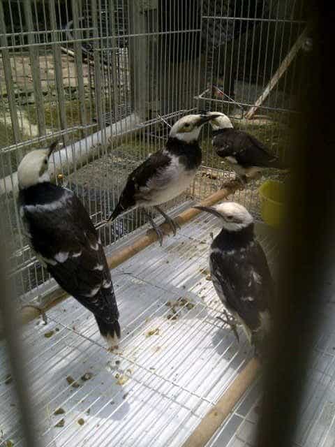 img_20150325_1238055b15d-9200228