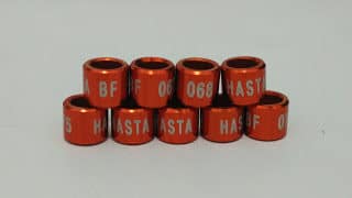 img_20150821_042312255b1255d-2964811