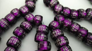 img_20150821_042735255b1255d-8656573