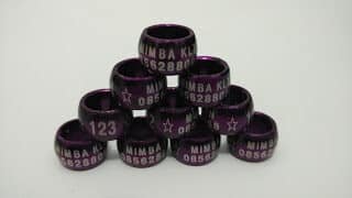 img_20150821_043548255b1255d-7173805