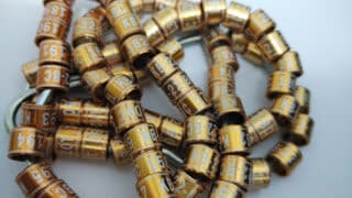 img_20150821_215227255b1255d-8024282