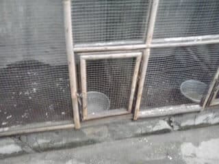 2012-11-182b13-49-41-1666899