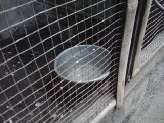 2012-11-182b13-50-11-1130164