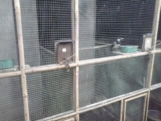 2012-11-182b13-51-16-9237652