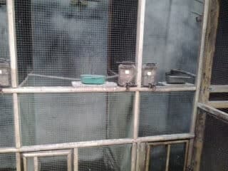 2012-11-182b13-53-27-6297126