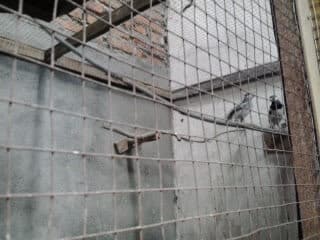 2012-11-182b13-55-09-7896486