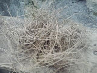 2012-11-182b13-59-56-1994546