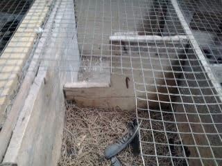 2012-11-182b14-00-55-8581538