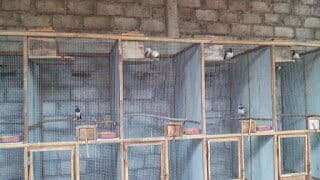 img_20140710_164216-8513768