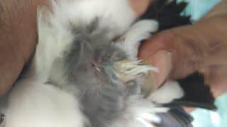 img_20160129_123649-2678695