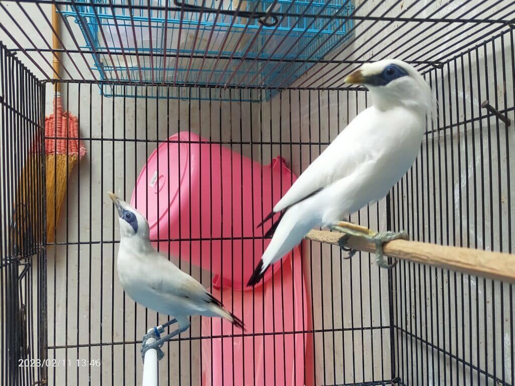 img20230211134629-1024x768-4410105