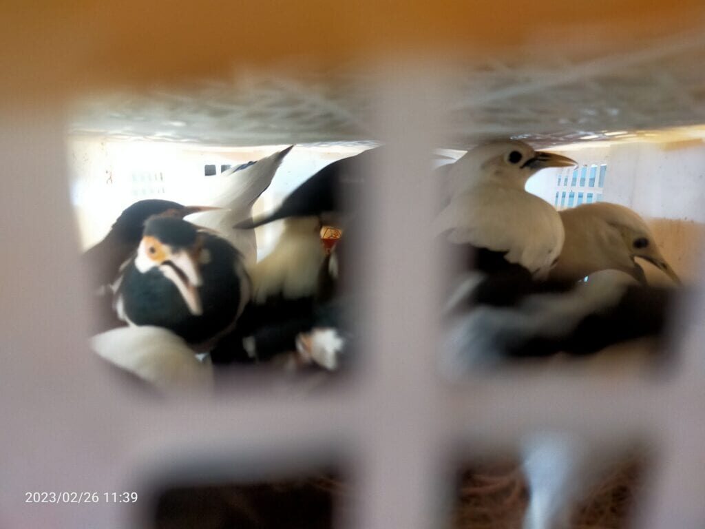 img20230226113951-1024x768-5263346