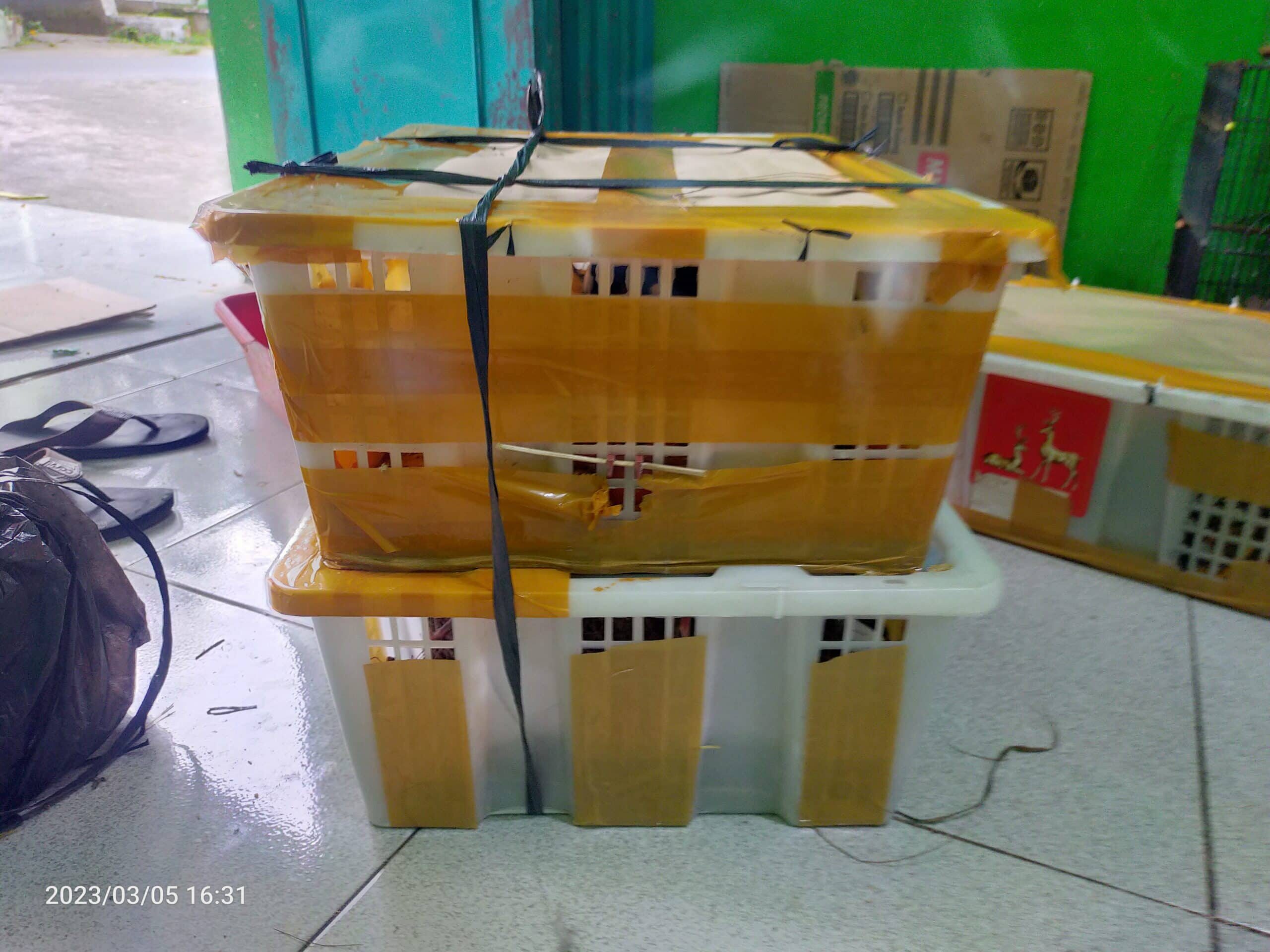 img20230305163158-scaled-4929902