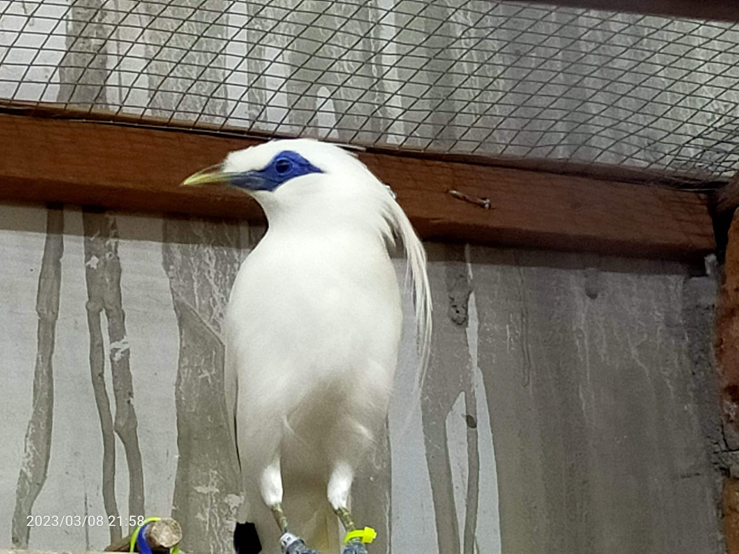 img20230308215802-scaled-7020236