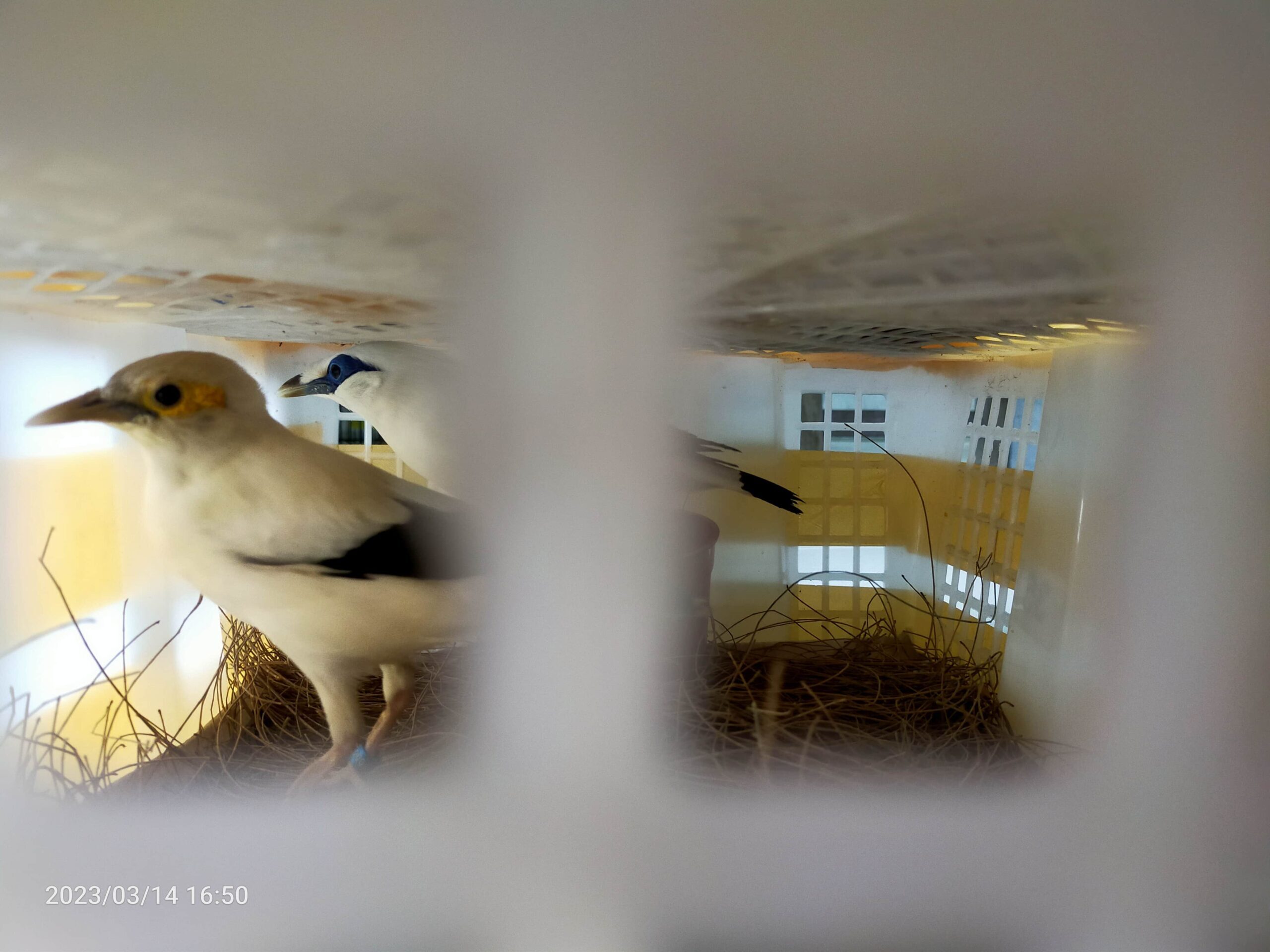 img20230314165008-2816193