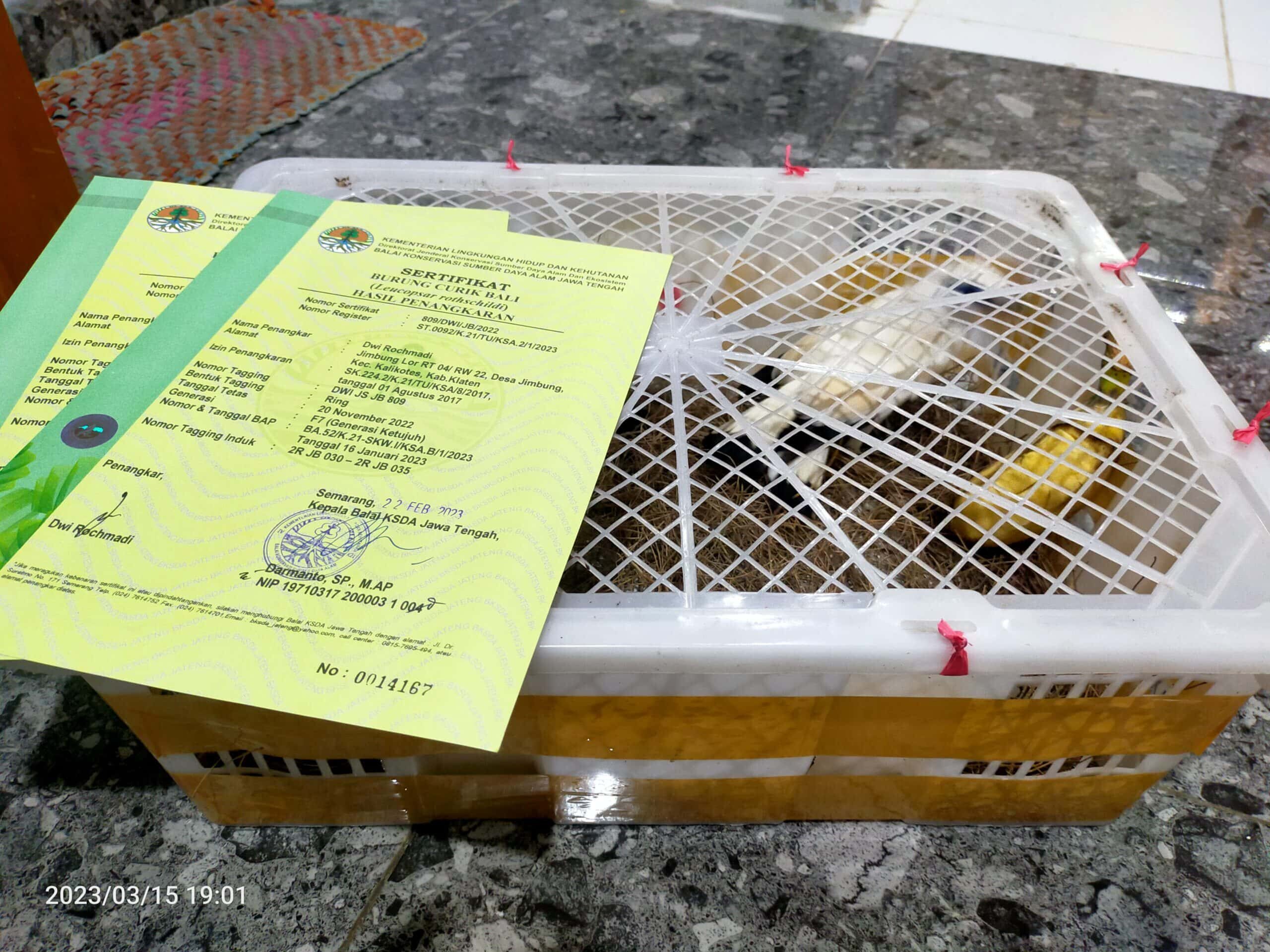 img20230315190111-scaled-7878865