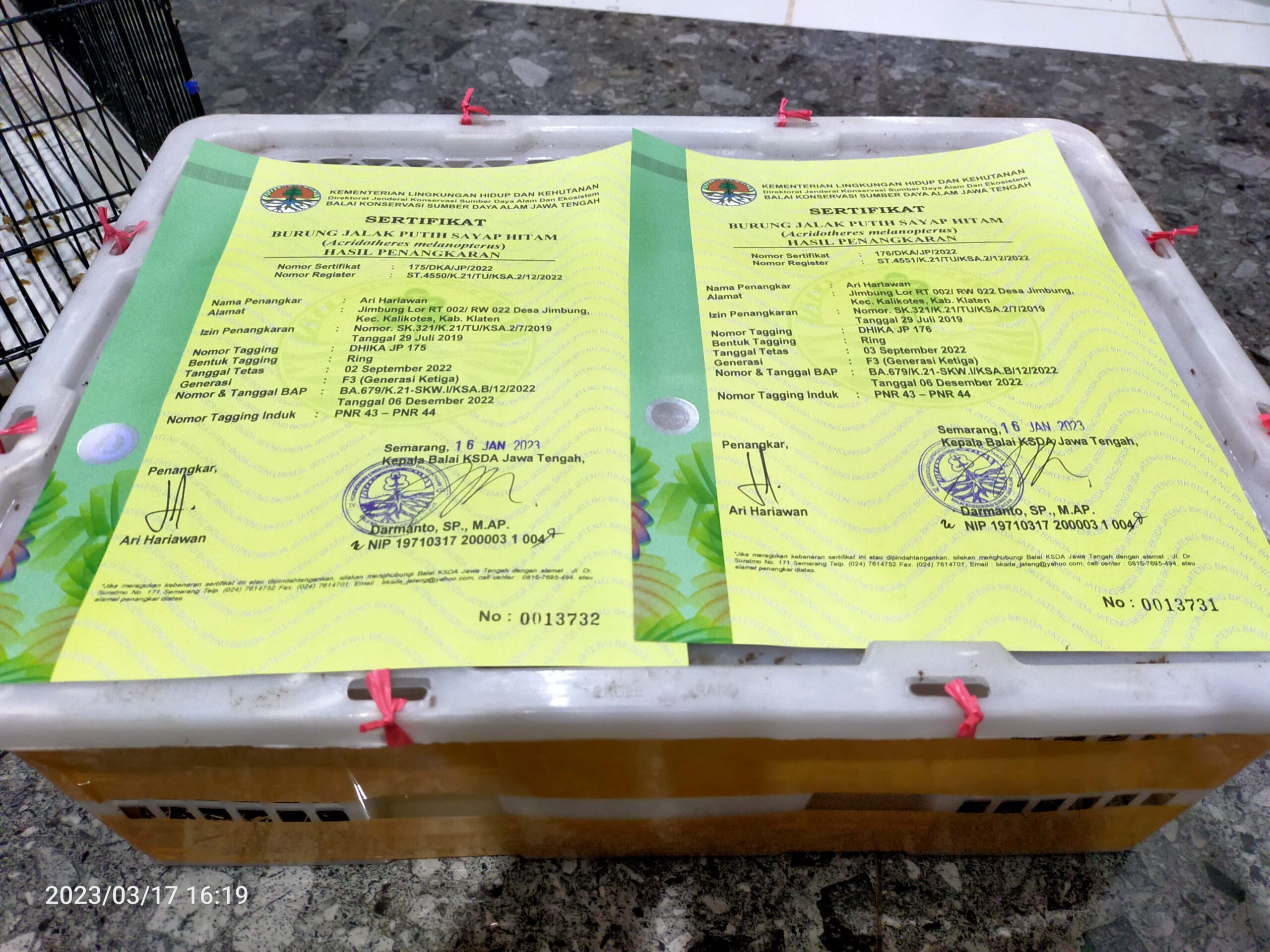 img20230317161903-3663002