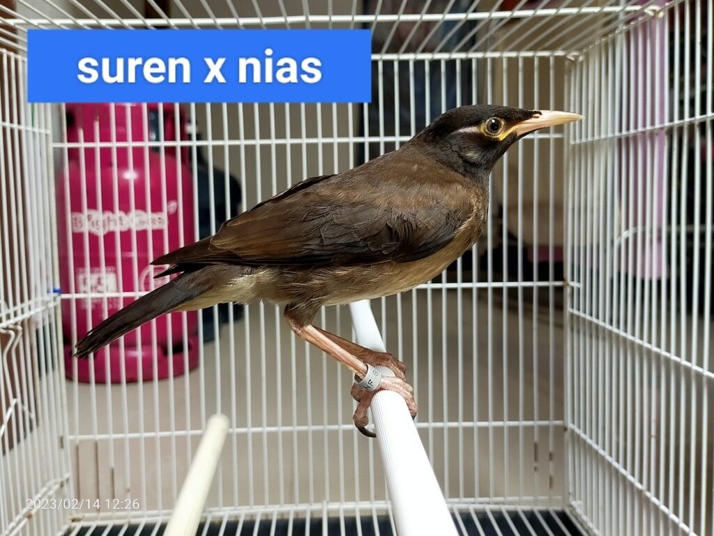 img_20230403_135459-1024x768-2393257