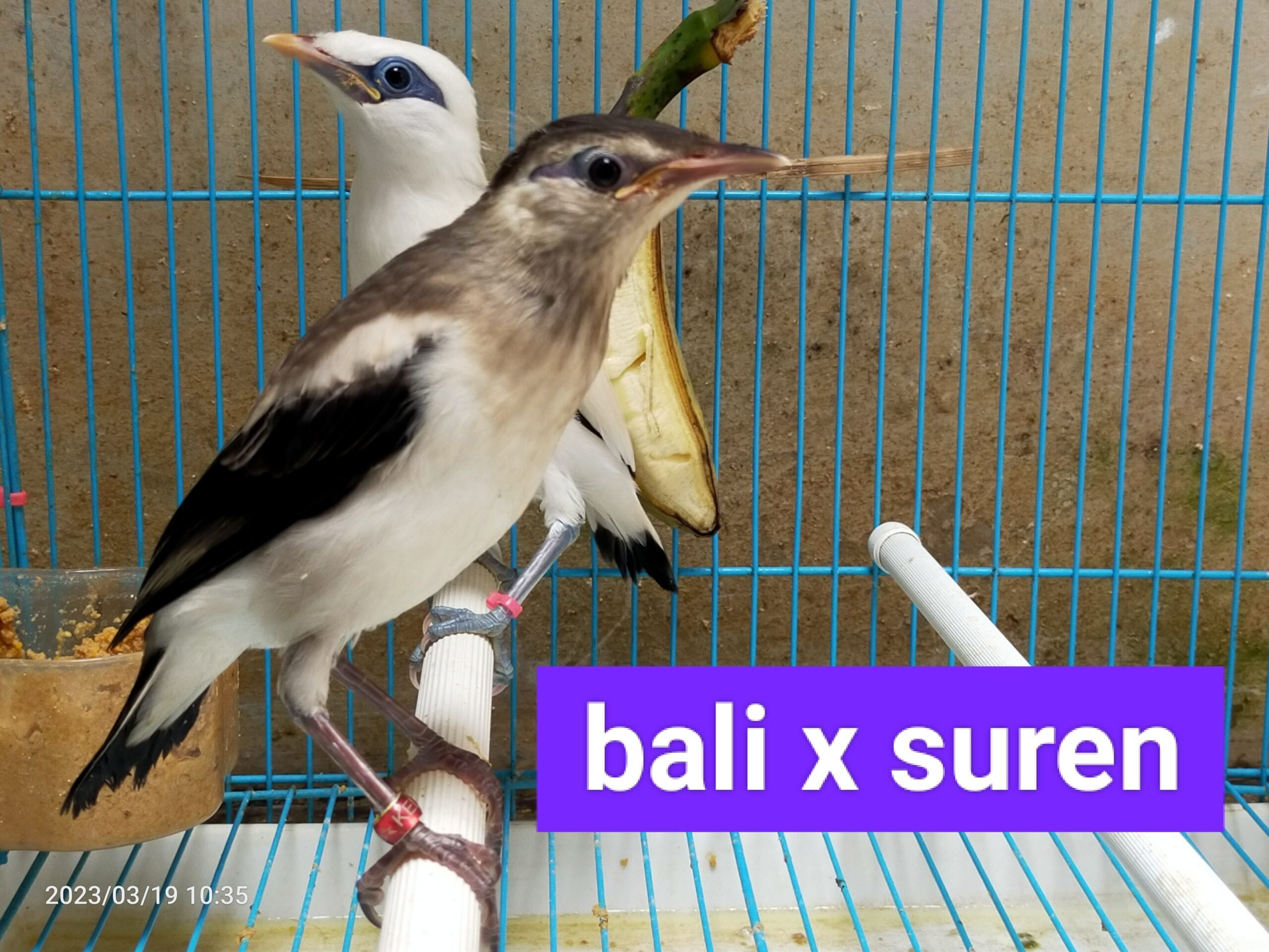 img_20230403_135905-scaled-5737984