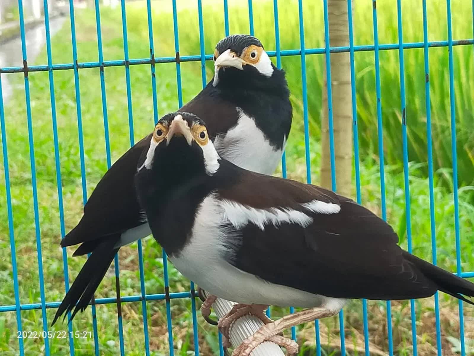 img-20221014-wa0003-2366203