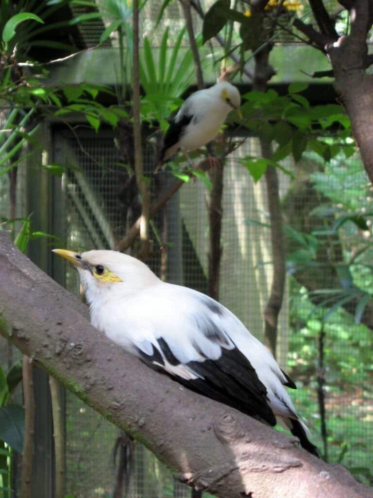 kamis5-768x1024-5838559