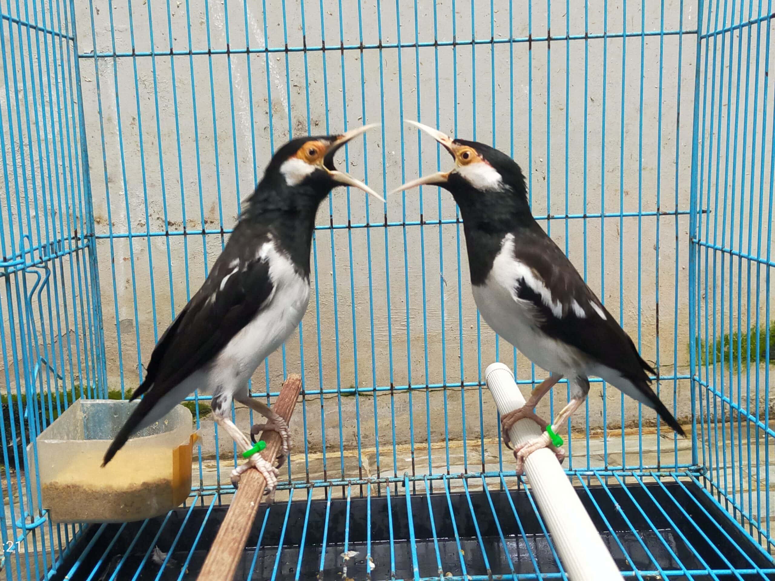 img_20230404_040937-scaled-4-1934272