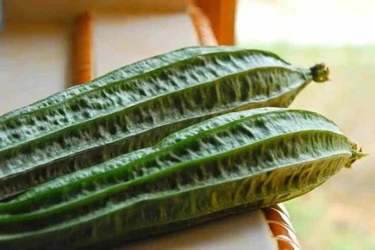 mengetahui-bergam-manfaat-oyong-untuk-burung-kicauan-7198141