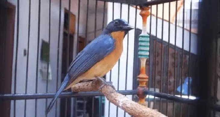 pemandian-dan-penjemuran-8705411