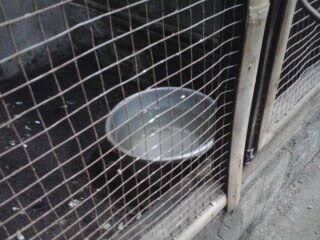 bak-mandi-dan-air-minum-4712196