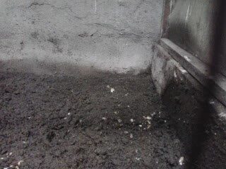 dasaran-lantai-kandang-3922507