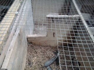 kotak-sarang-2638212