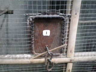 pintu-makanan-3388189