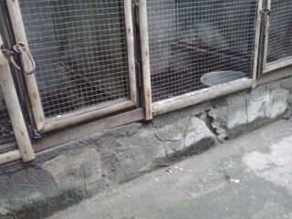 pondasi-rangka-kandang-1809642