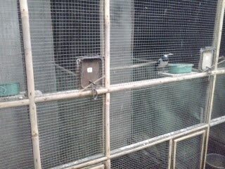 sekat-pembatas-antar-kandang-4268220