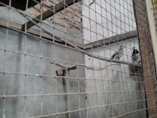 tempat-bertengger-6331482