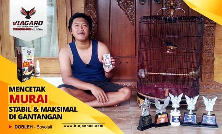 viagaro-new-formula-8247262