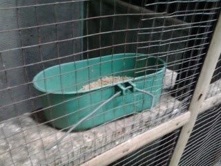 wadah-tempat-makanan-3039105