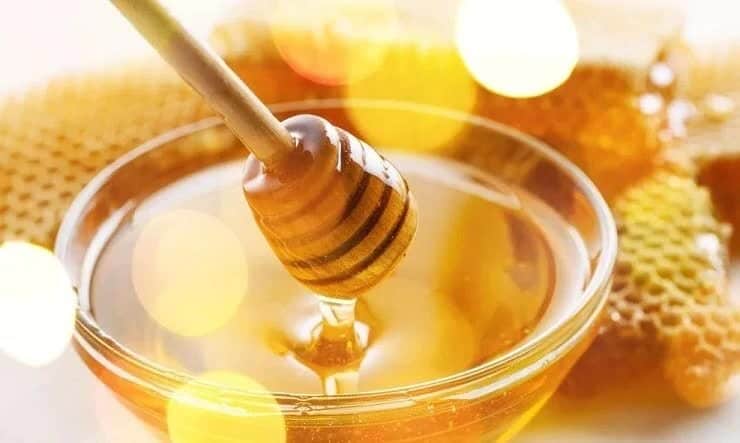 bahan-minuman-sehat-penambah-stamina-burung-5441266