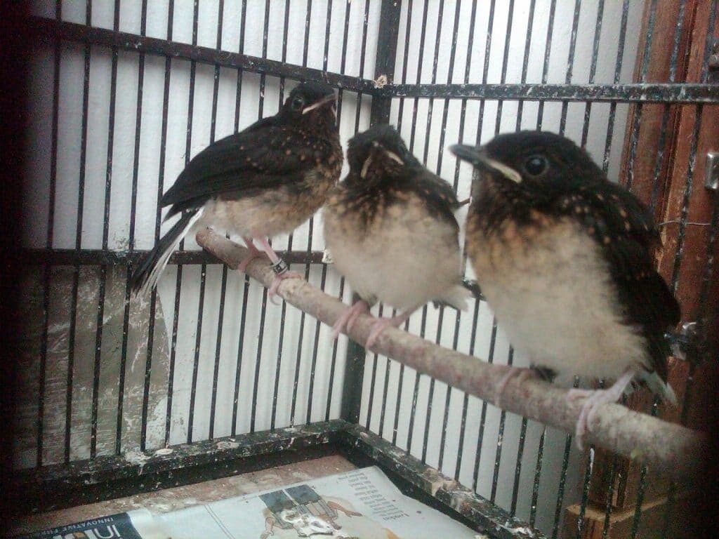 img00298-20111111-0613-6025730