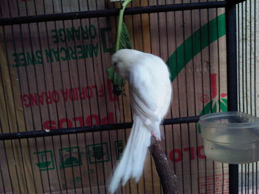 jumaat2-1024x768-1504969