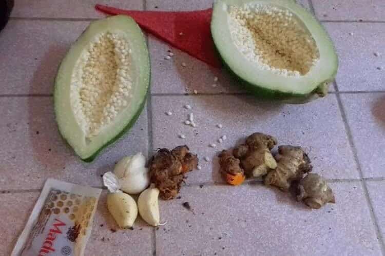 cara-membuat-jamu-tetes-untuk-lovebird-6772665