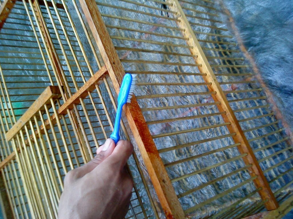 dsc02320-1024x768-3081694