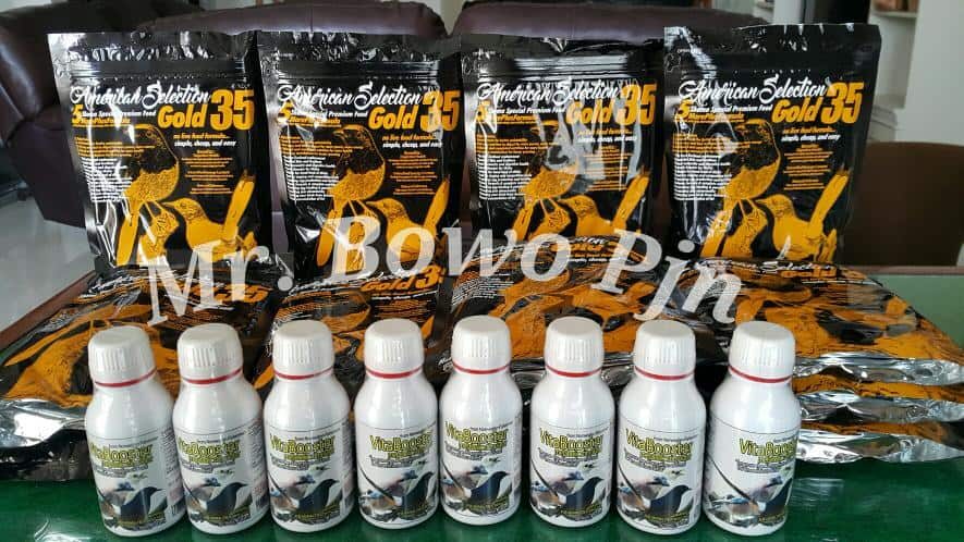 jual_pakan__makanan_dan_vitamin_burung_murai_batu_ams_gold_3-1807869