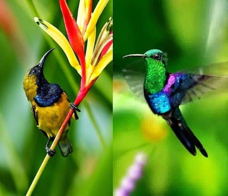 makanan-sogok-ontong-2210634