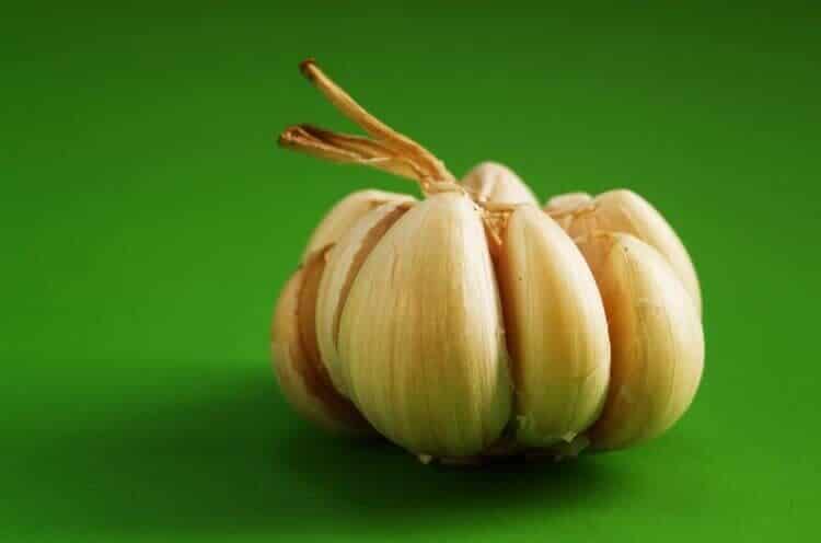 manfaat-bawang-putih-untuk-perkutut-lokal-2464121