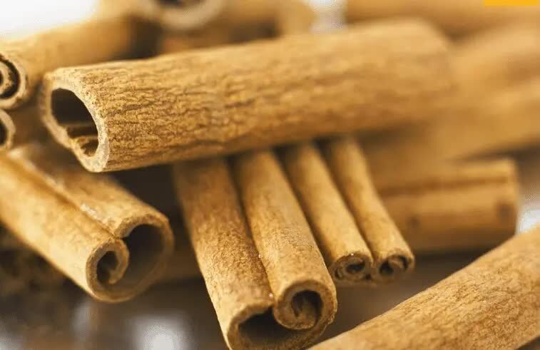 manfaat-kayu-manis-untuk-lovebird-7978757