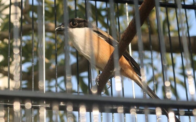 manfaat-dan-cara-melakukan-terapi-mandi-sauna-untuk-cendet-2400103