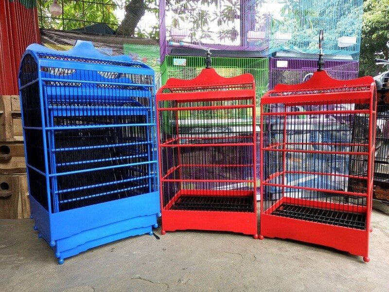 mengecat-sangkar-burung-warna-warni-6234714