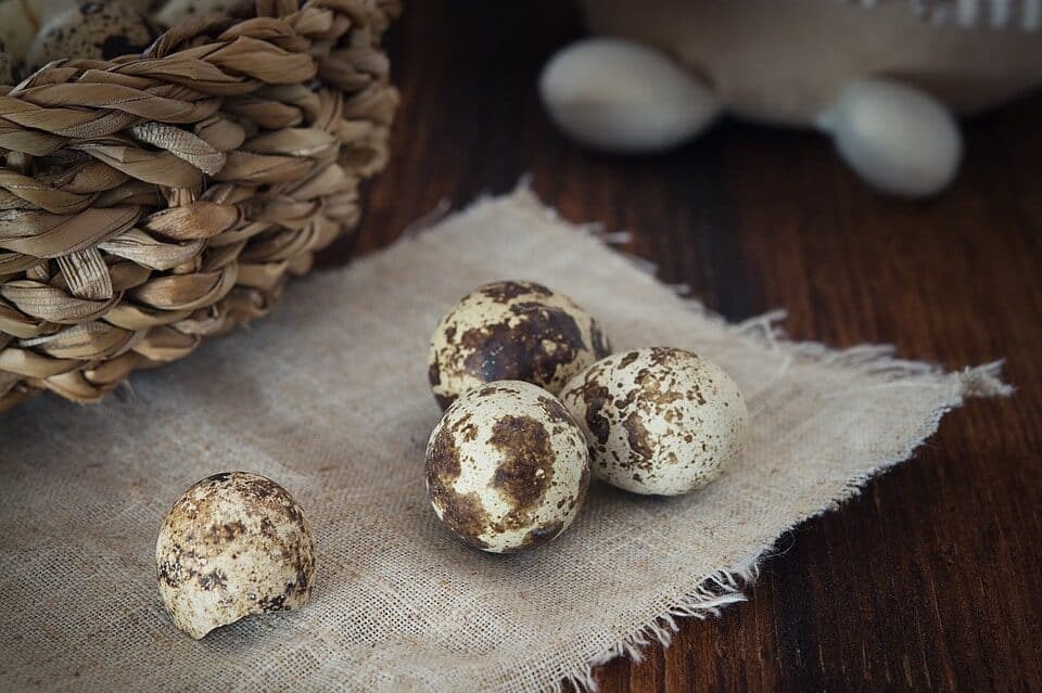 quail-eggs-1247388_960_720-9313523