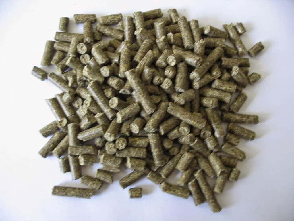 rabu4-1024x768-1384047